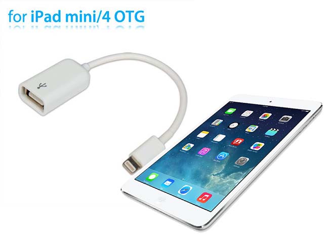 Cáp Lightning USB OTG Cho iPad 4, iPad Mini, iPhone 5