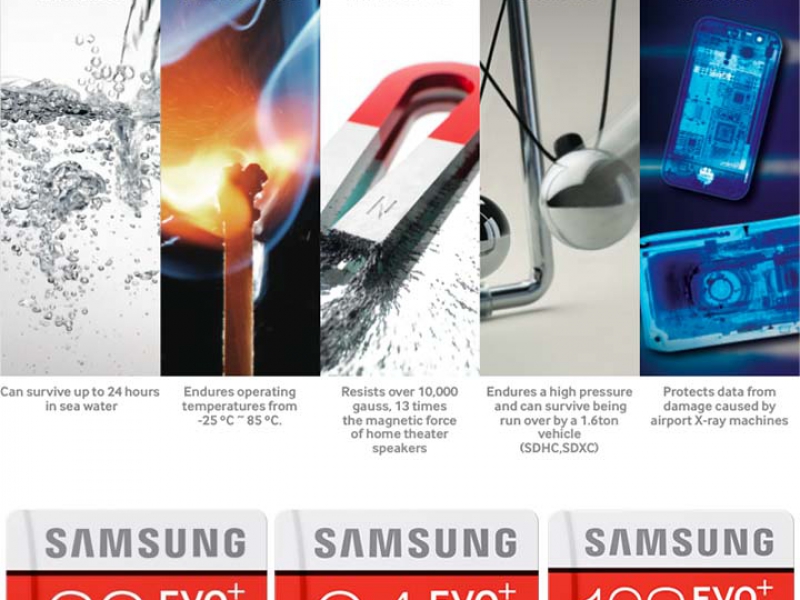 Thẻ Nhớ MicroSDHC 8GB Samsung EVO Plus SLASS10